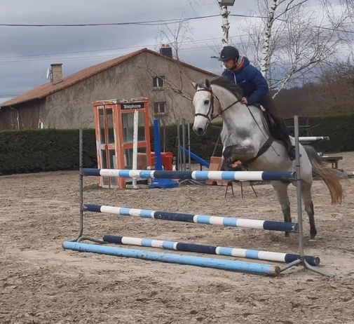 Poney D CSO  pour Elite , AS PONEY