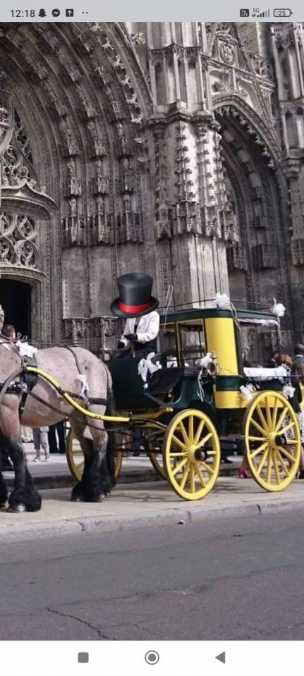 Calèche omnibus pour attelage