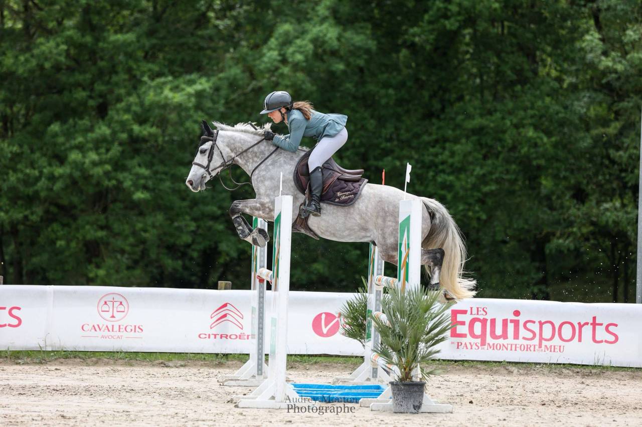 Poney pour Grand Prix 