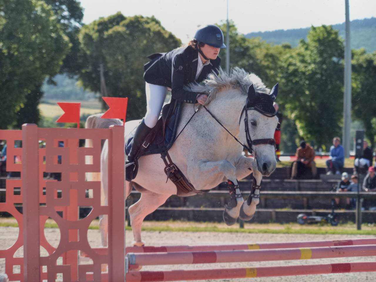Poney de sport/famille 