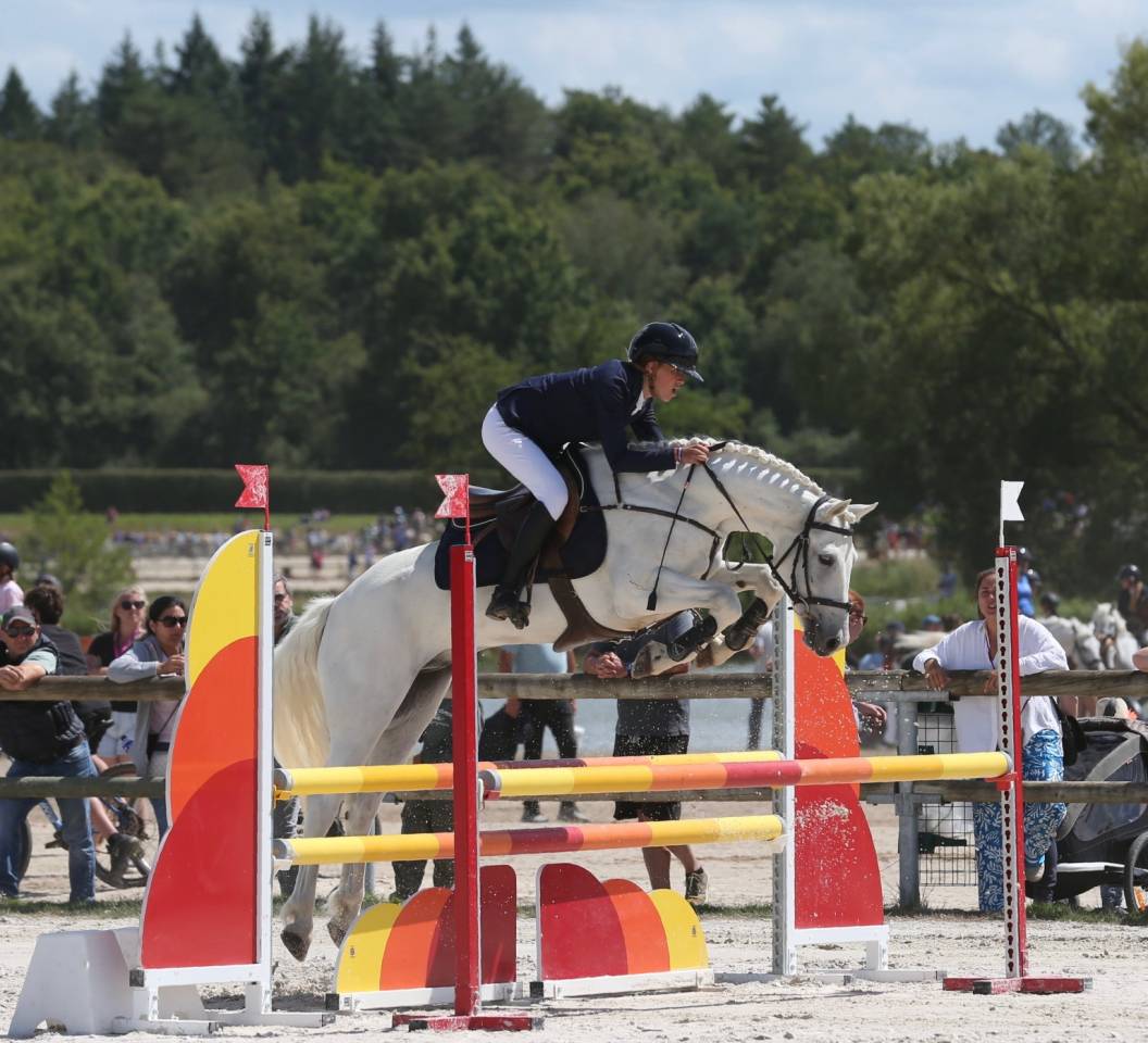 Poney de sport RARE À LA VENTE ⚠️