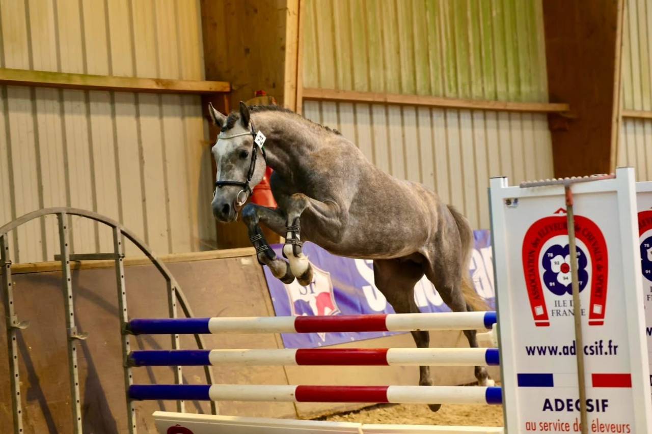 Entier pfs 145cm 3 ans