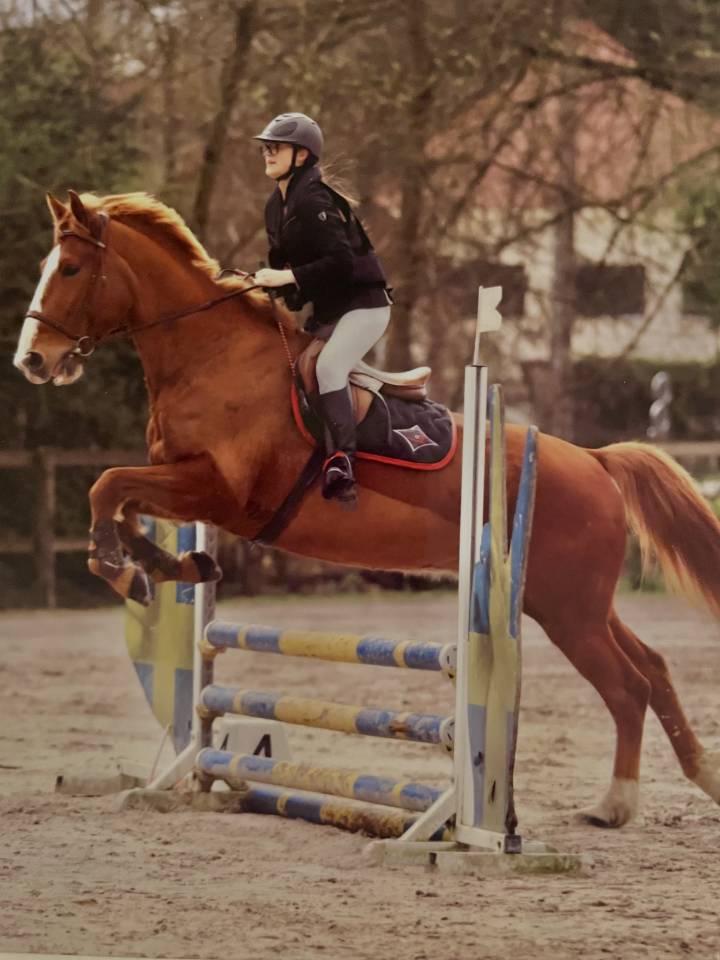 Dp cheval 