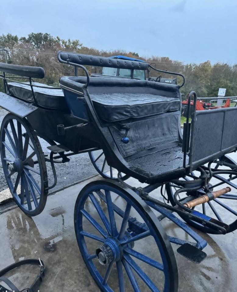 Calèche / voiture 