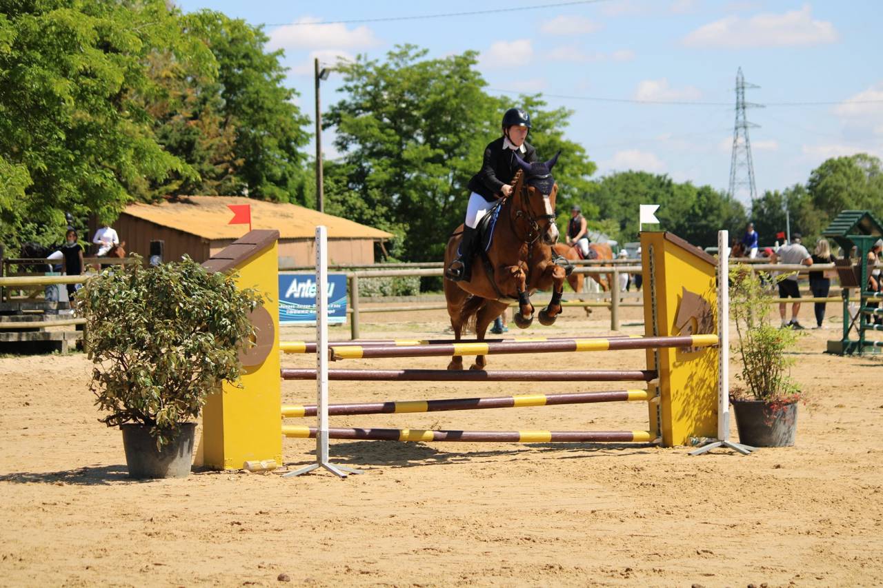Jument SF 15 ans par Allegreto Moselle