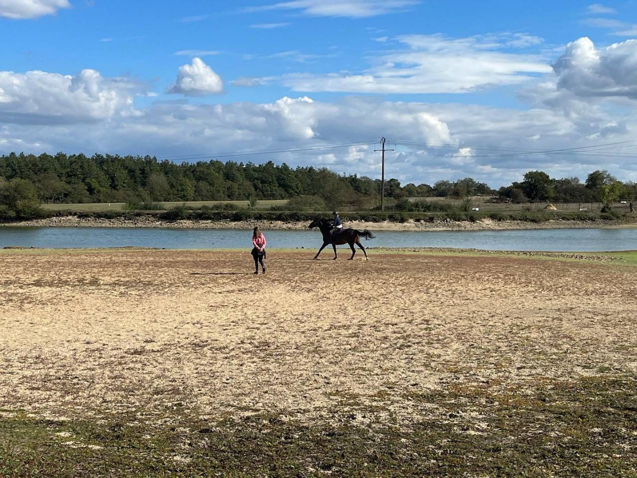 ecurie de propriétaire/ concours / élevage sur 140 Ha