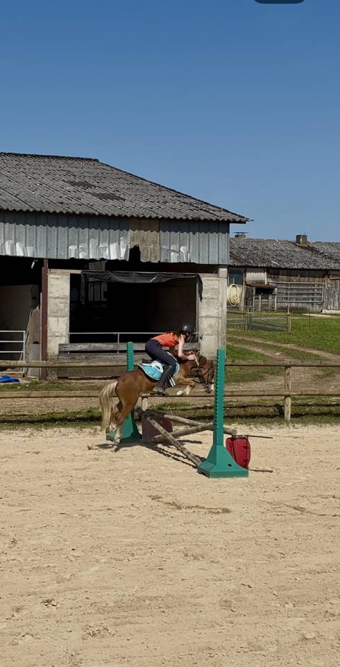 Propose DP sur Ruiten 