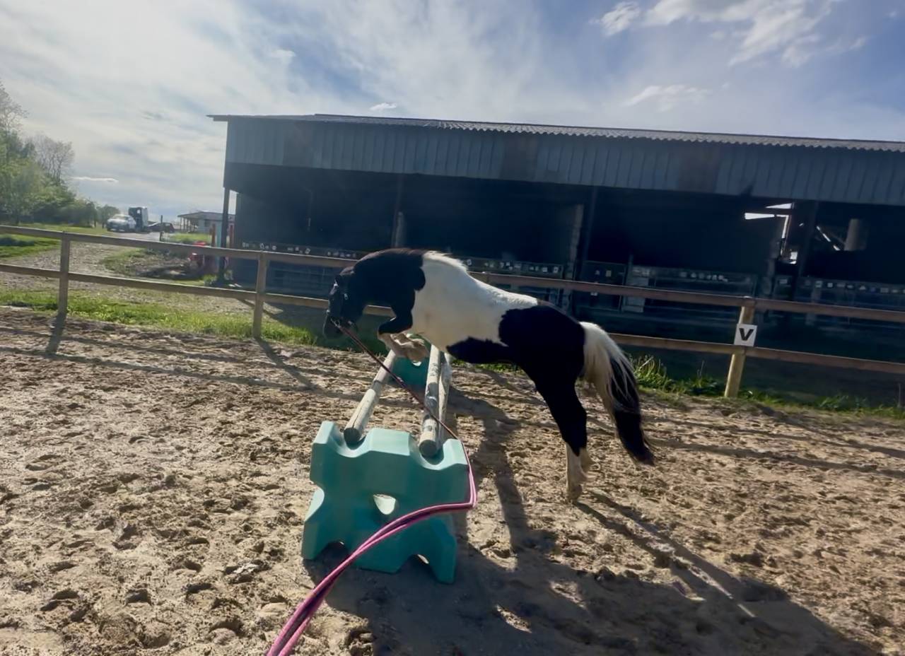 Propose DP sur Mimosa 