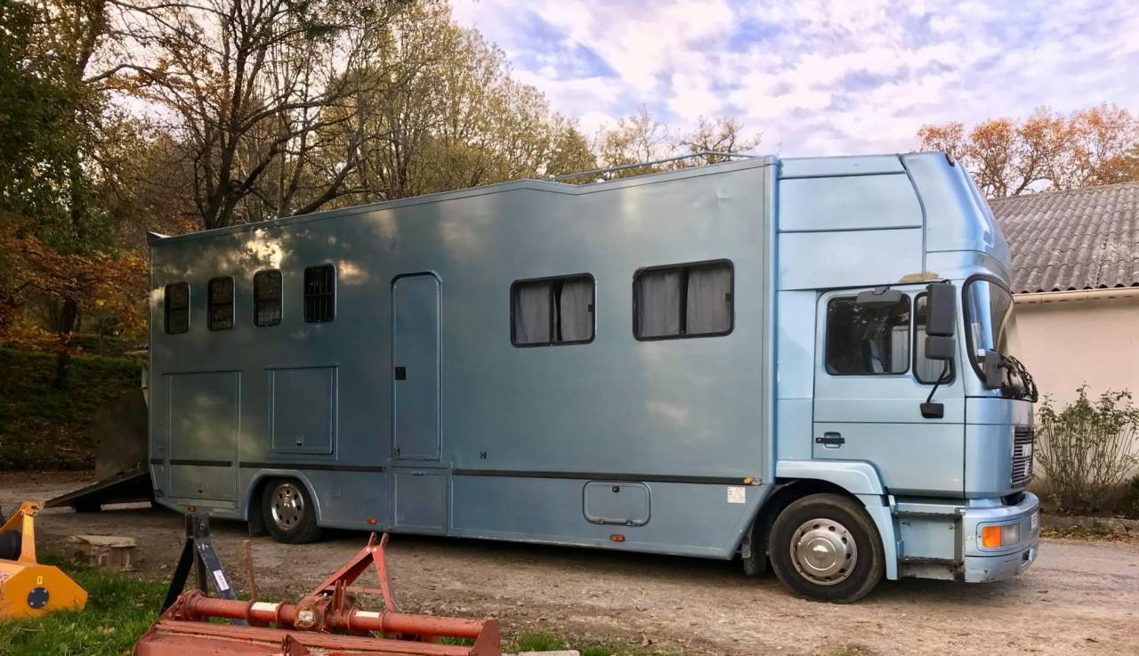 Camion chevaux MAN 4 places