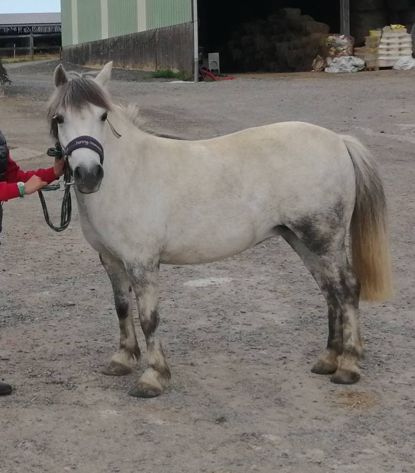 Jolie ponette 9 ans taille A