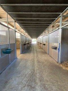 Haras de Reproduction Cl&eacute; en Main sur 52 ha dans le Morbihan (5