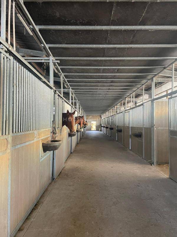 Haras de Reproduction Cl&eacute; en Main sur 52 ha dans le Morbihan (5