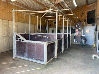 Haras de Reproduction Cl&eacute; en Main sur 52 ha dans le Morbihan (5