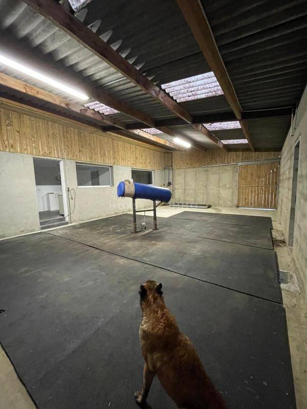 Haras de Reproduction Cl&eacute; en Main sur 52 ha dans le Morbihan (5