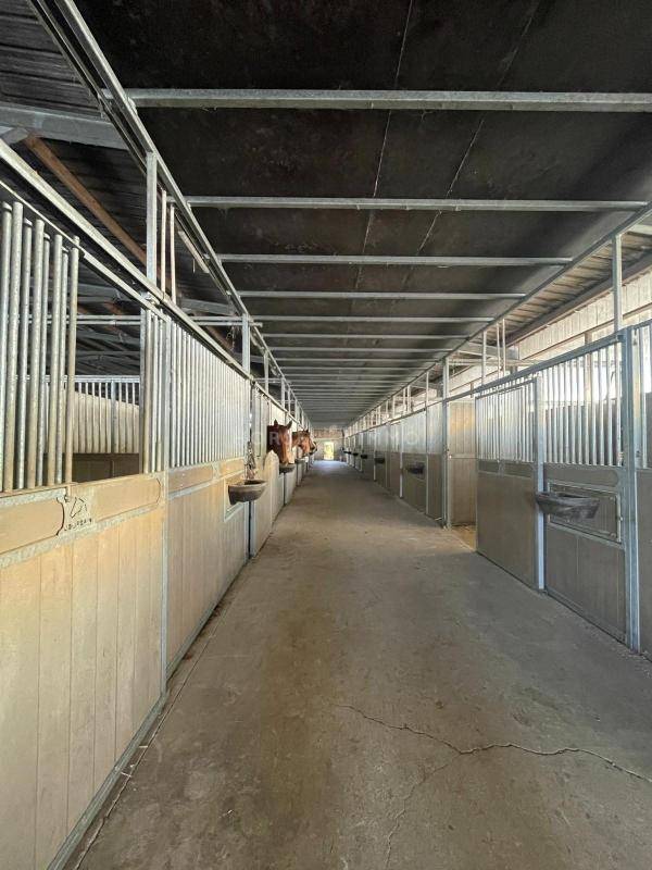 Haras de Reproduction Cl&eacute; en Main sur 52 ha dans le Morbihan (5