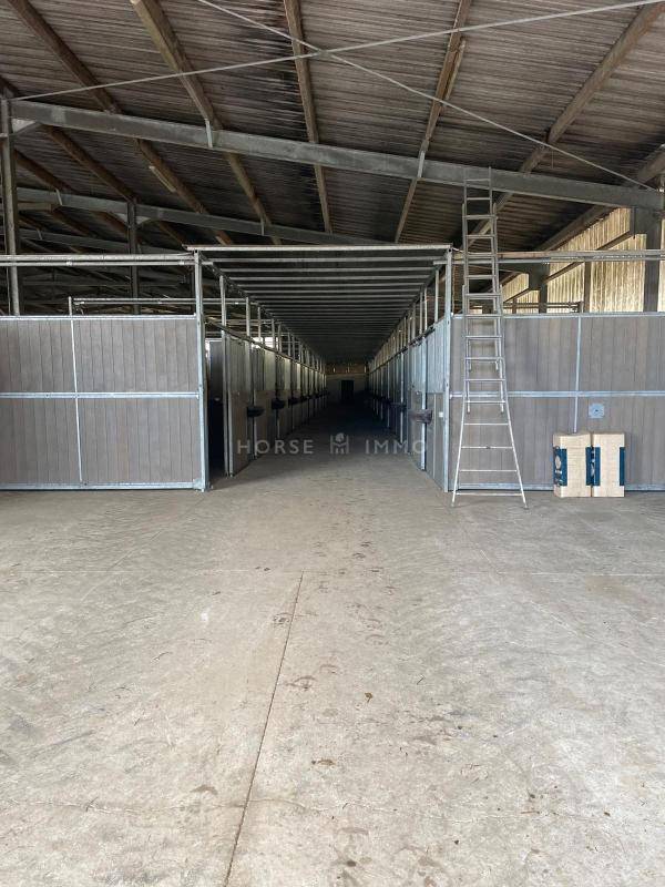 Haras de Reproduction Cl&eacute; en Main sur 52 ha dans le Morbihan (5