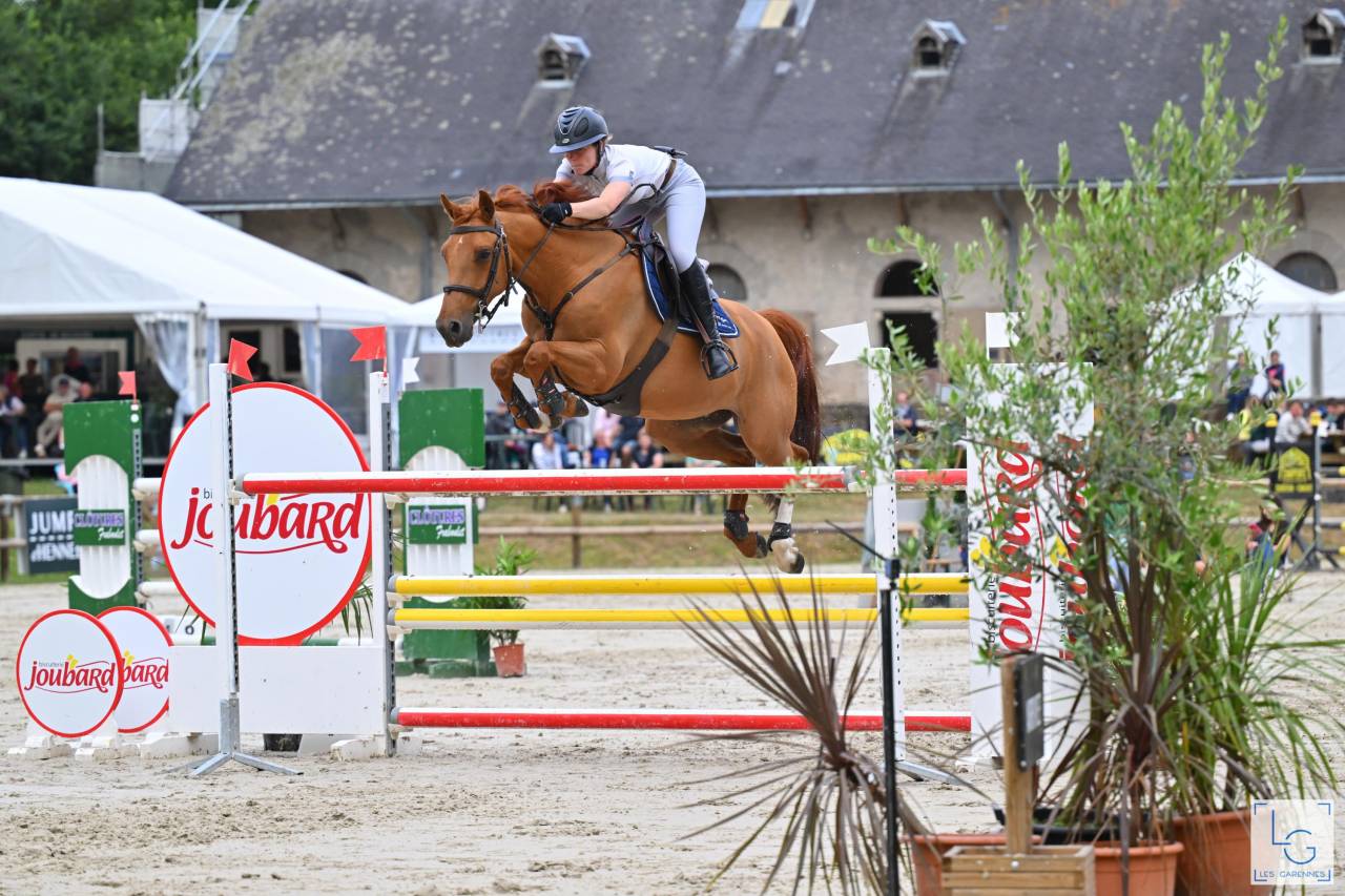 Hongre de 8 ans idéal passage poney—>cheval