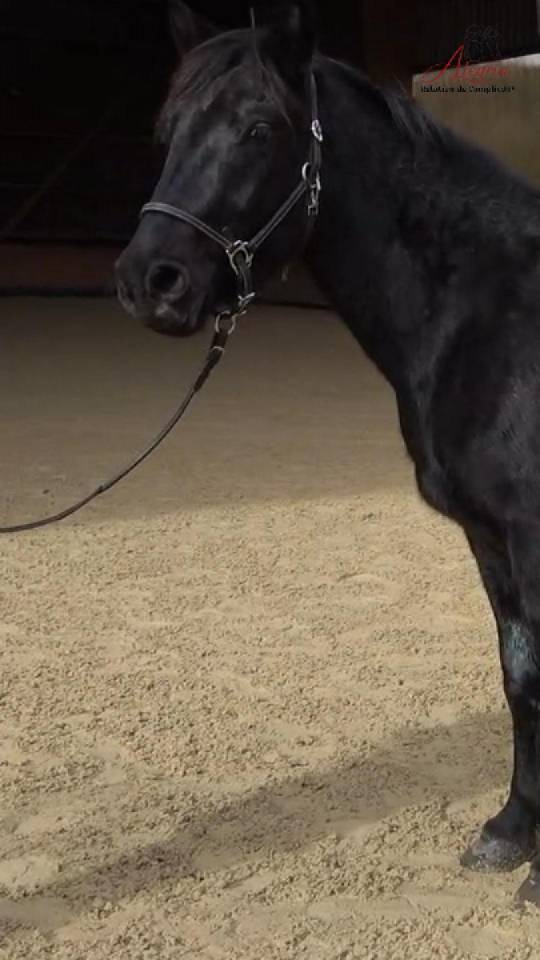 MEANDRE, curieux et appliqué 