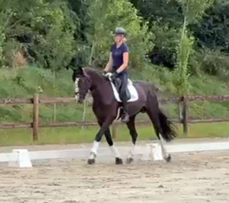 SF 7 ans – 1,74 m-  Top origines - Mental & locomotion