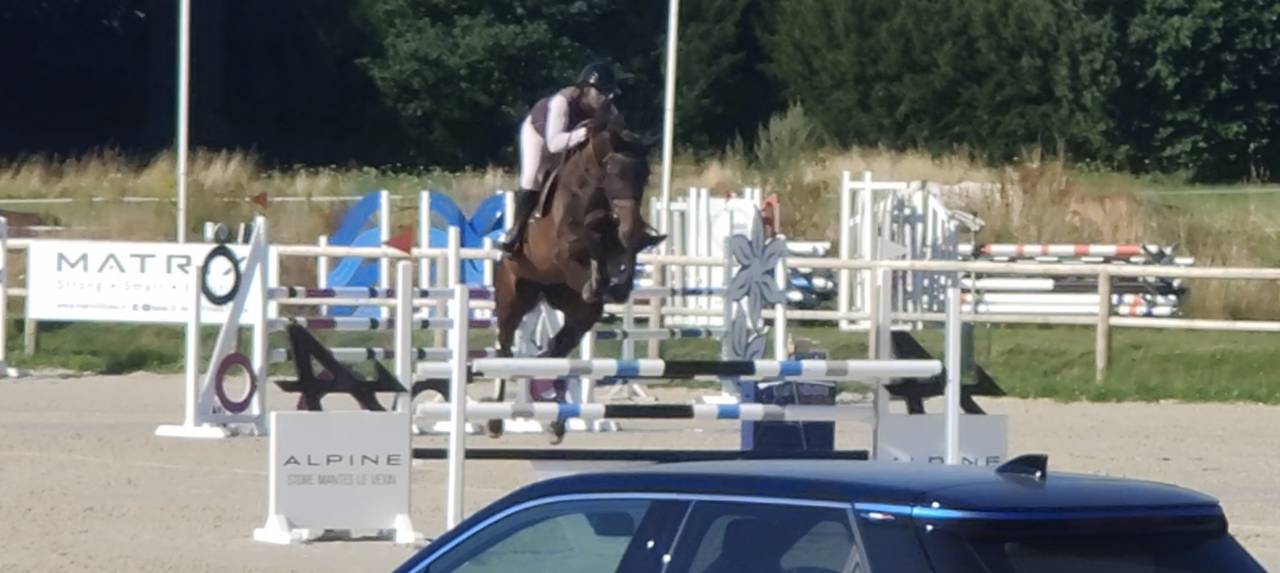 Jument a confié pour pro CSO