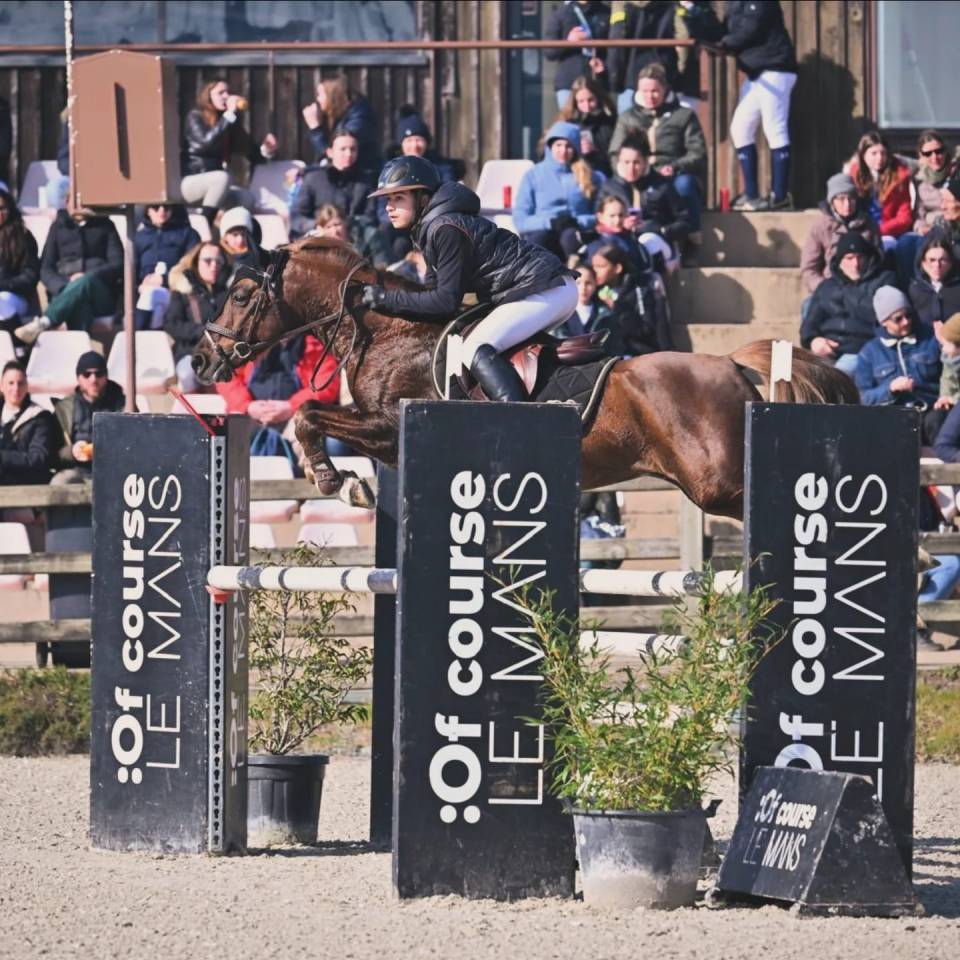 Super poney C à vendre 