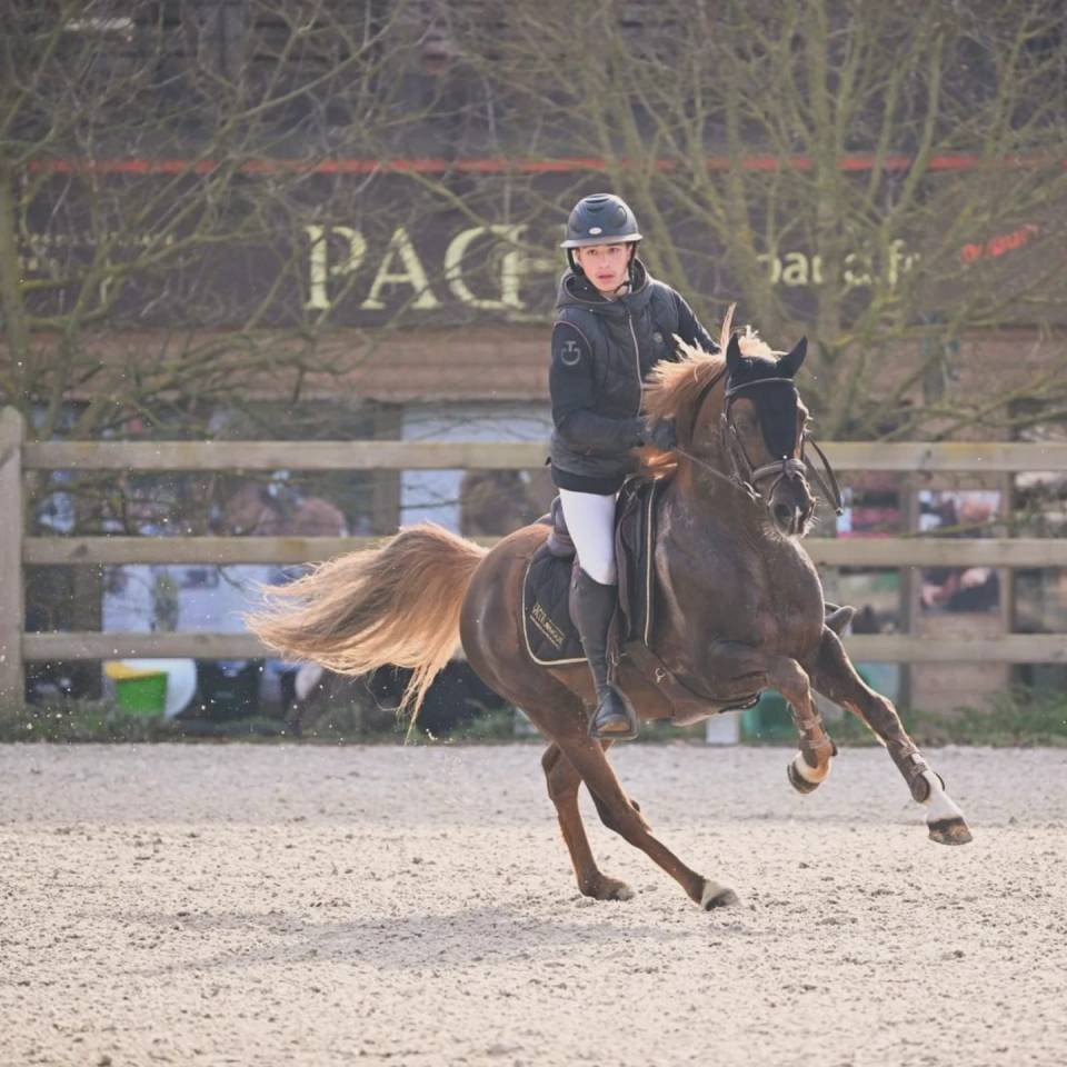 Super poney C à vendre 