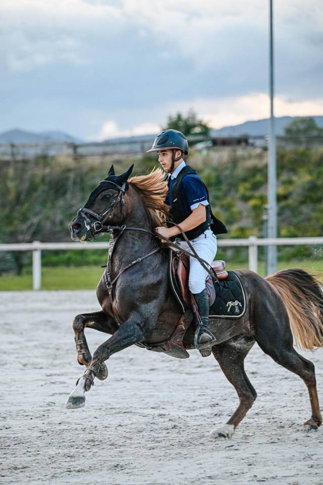 Super poney C à vendre 