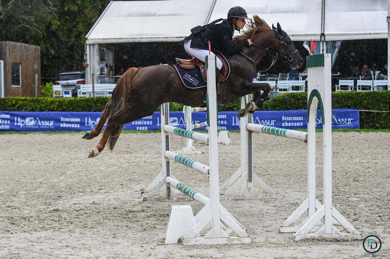 Super poney C à vendre 