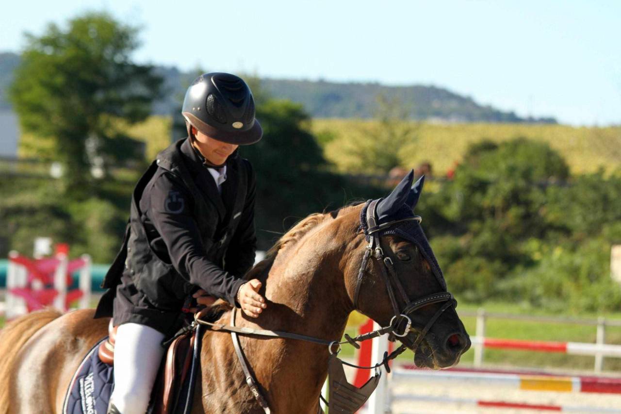 Super poney C à vendre 