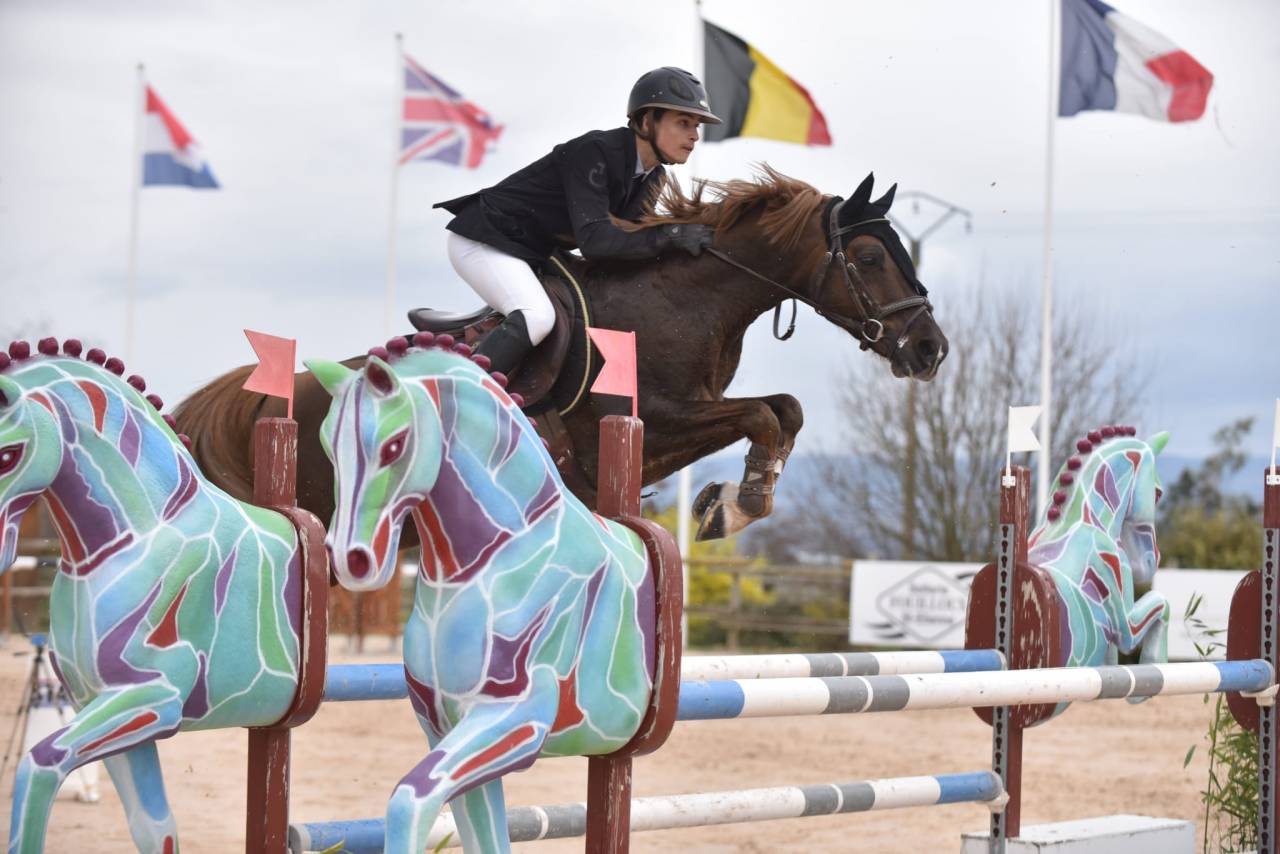 Super poney C à vendre 