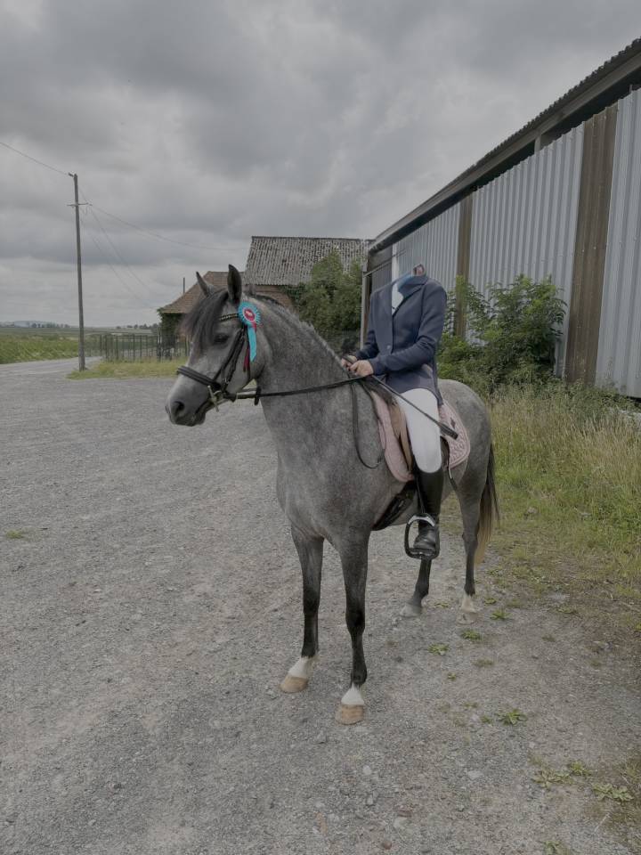 Ponette de sport C - 4 ans