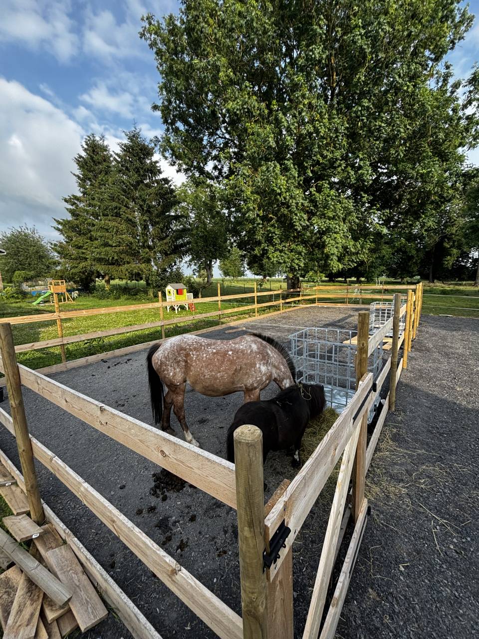 Écurie de propriétaires -  Écurie horse&family 62450 Le transloy