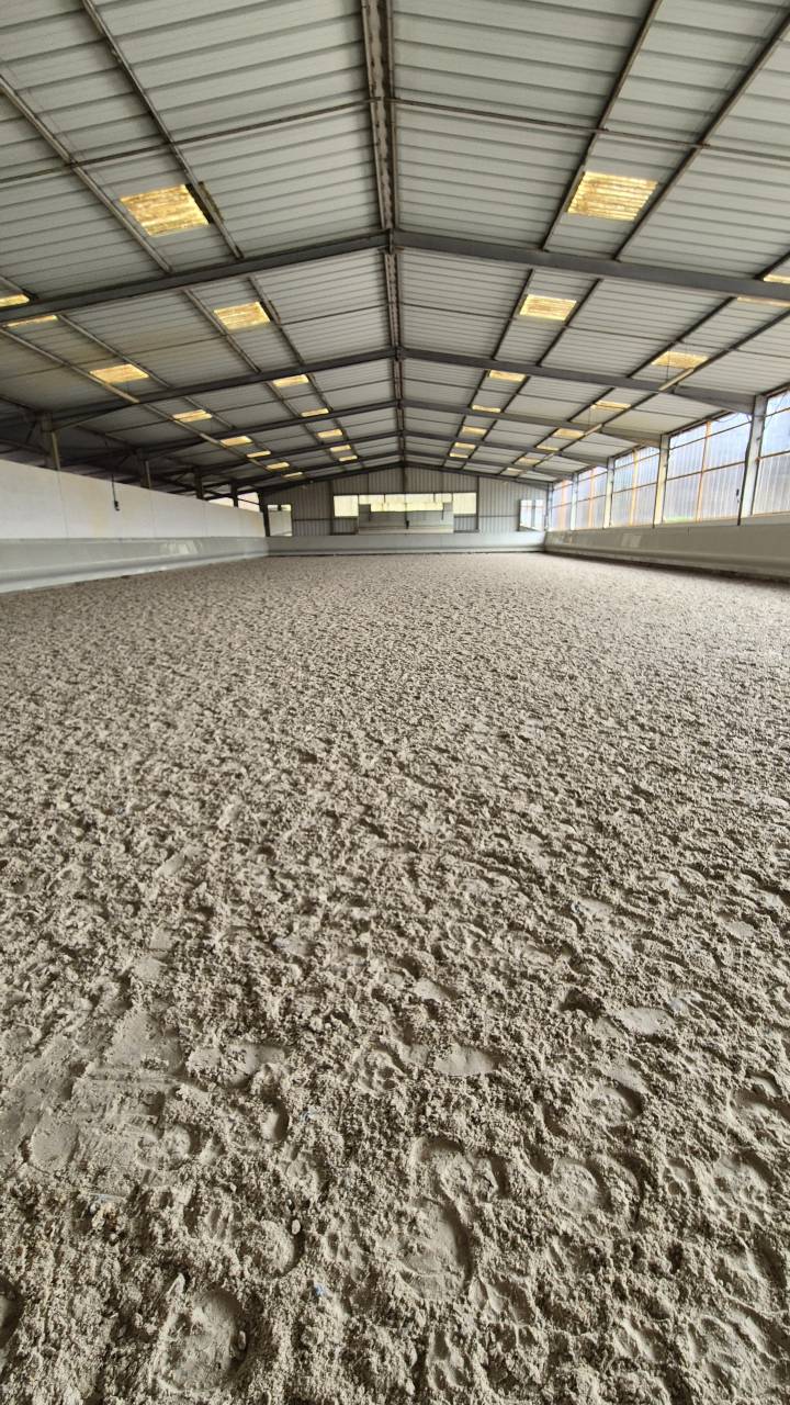 Deghaye Dressage Pension, cours, valorisation,...