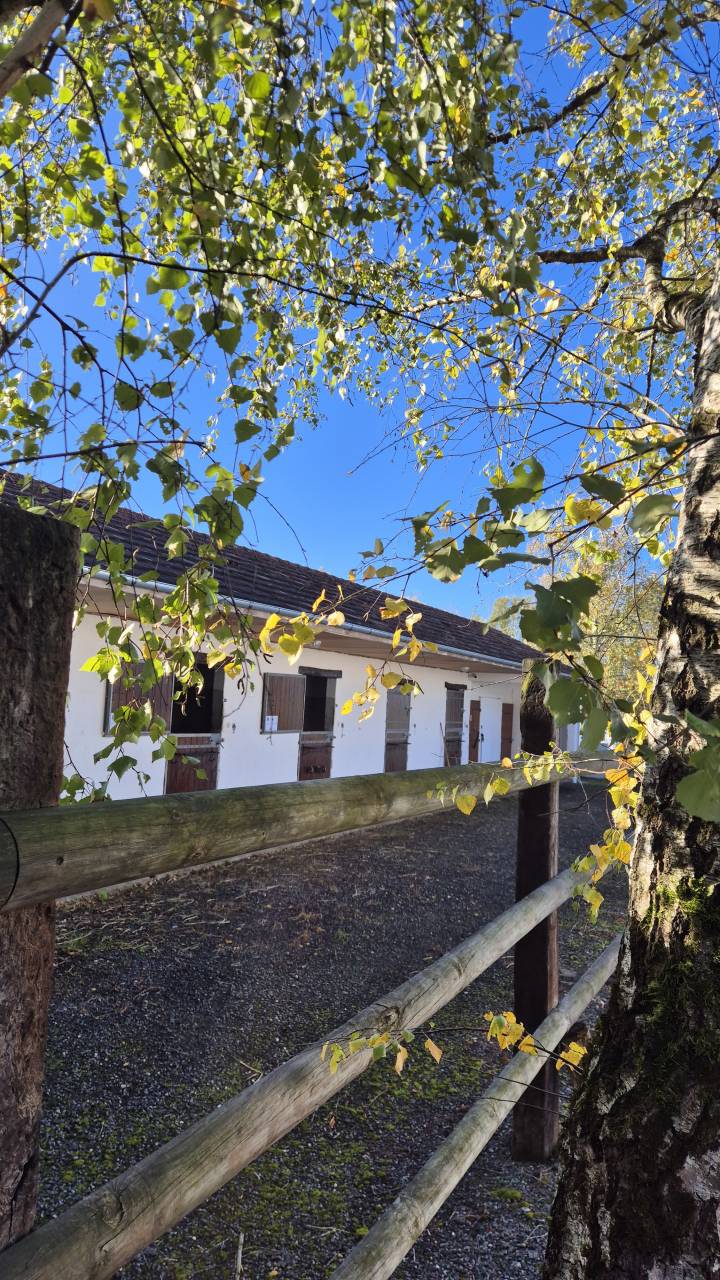 Deghaye Dressage Pension, cours, valorisation,...