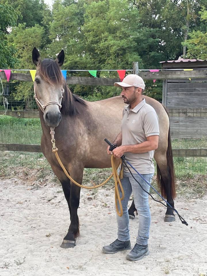 Équi-Résilience – Un autre chemin, avec le cheval
