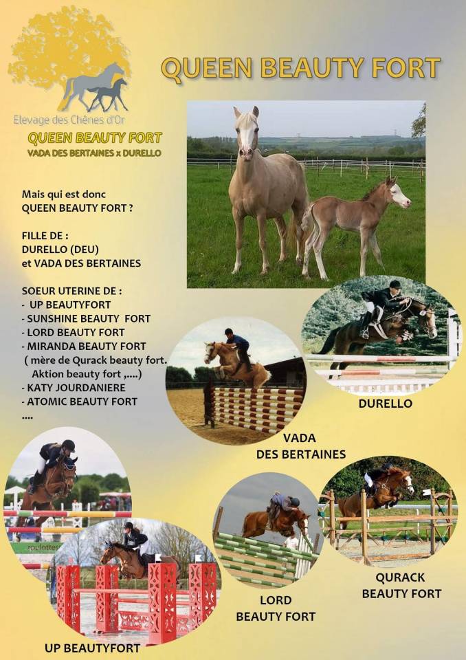 Foal pfs PRINCE DES CHÊNES DOR 