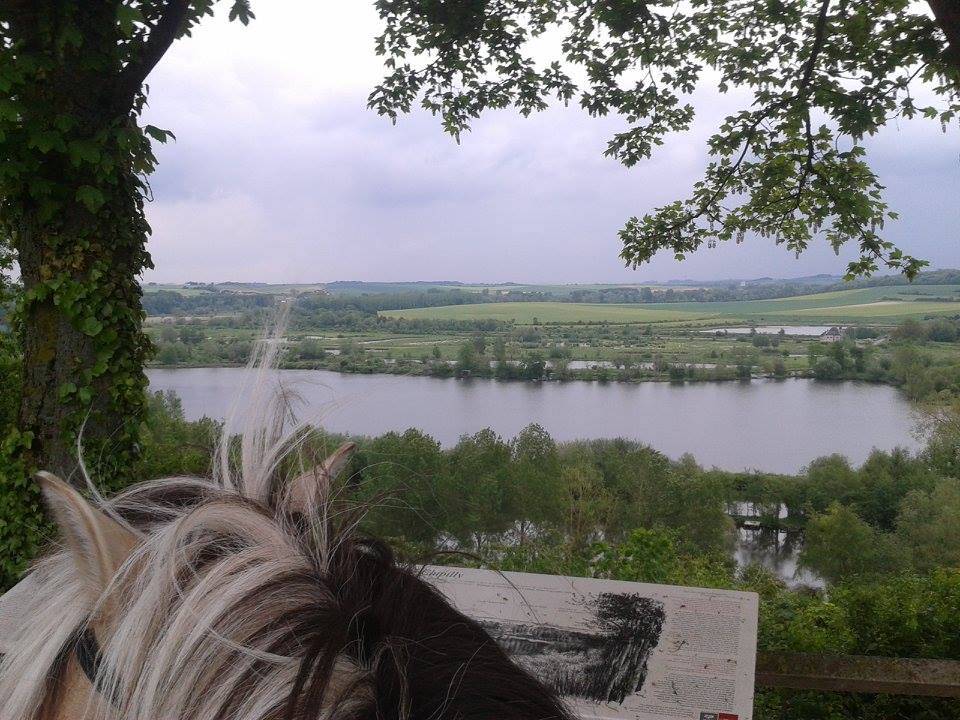 RANDONNEES A CHEVAL dans la Vall&eacute;e de la SOMME