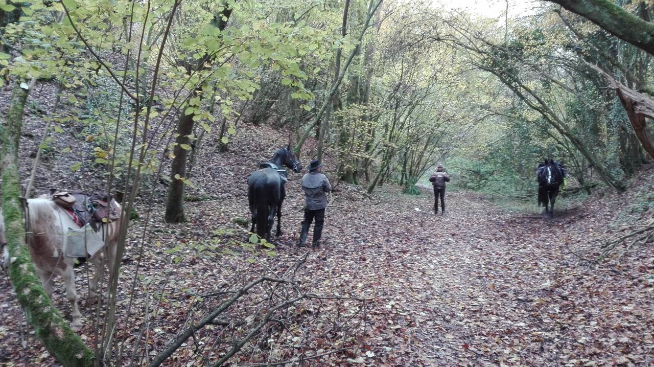 RANDONNEES A CHEVAL dans la Vall&eacute;e de la SOMME