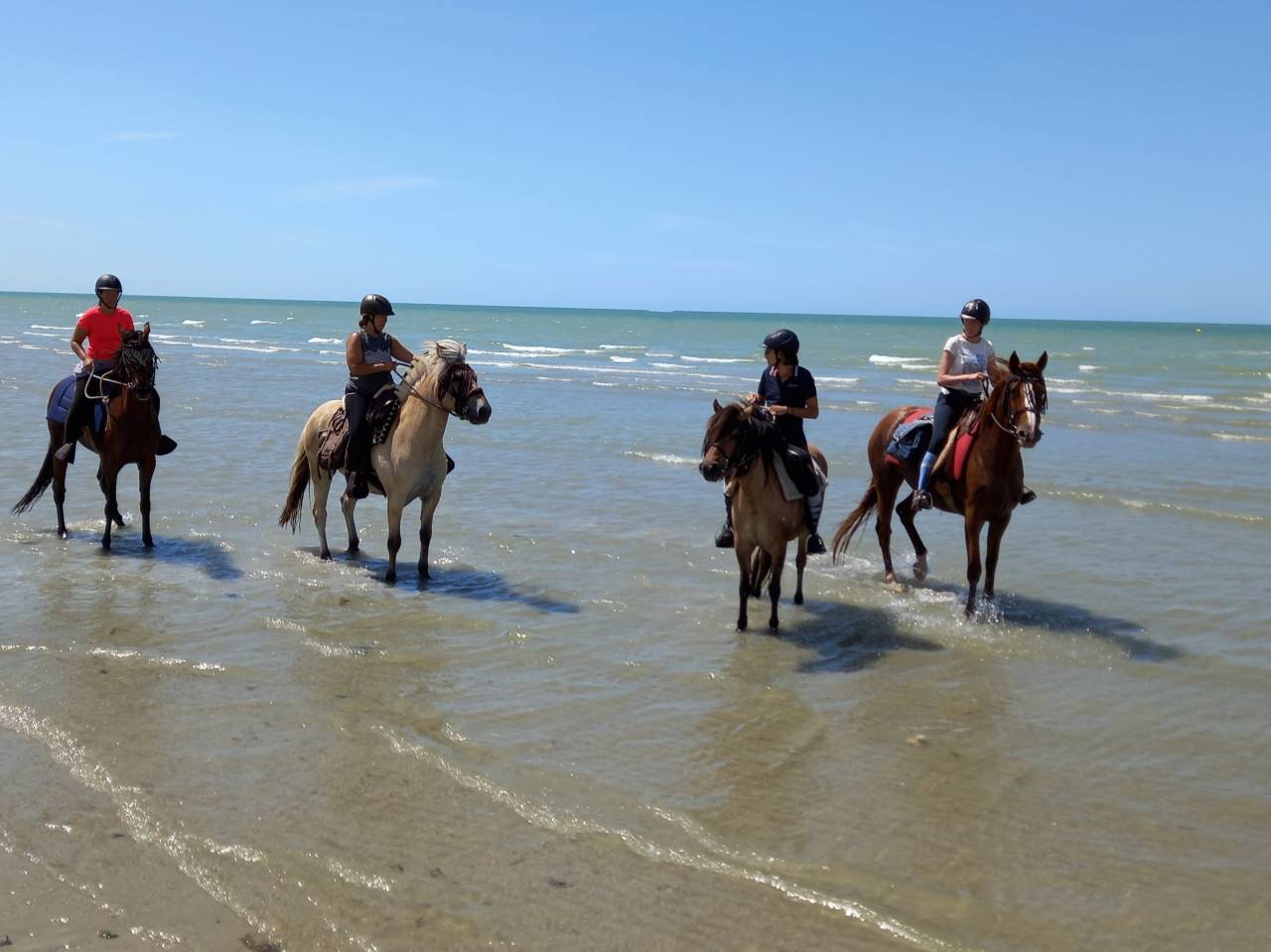 RANDONNEES A CHEVAL dans la Vall&eacute;e de la SOMME