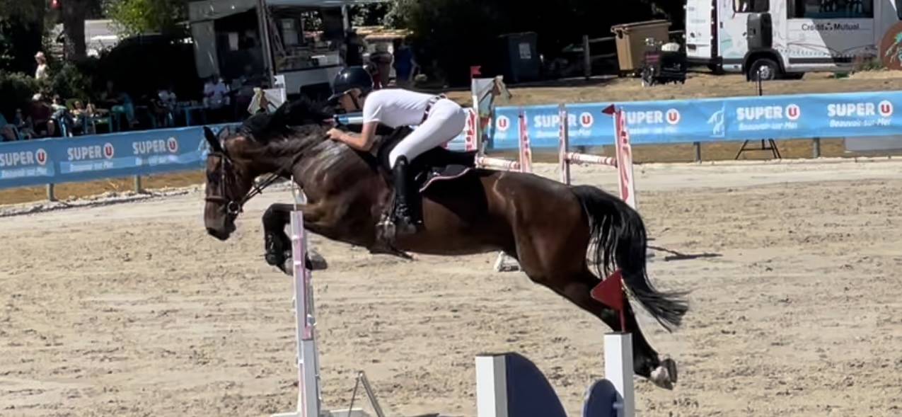 Top cheval amateur 