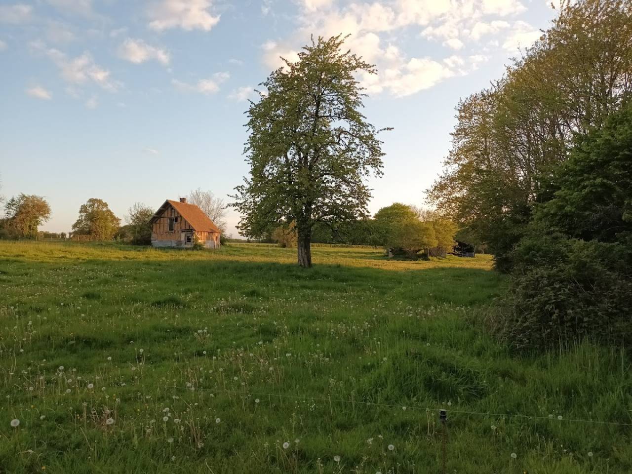 Pension pour chevaux - Domaine de la Poteli&egrave;re - Bottereaux (27)