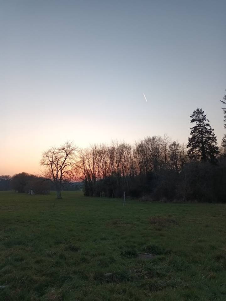 Pension pour chevaux - Domaine de la Poteli&egrave;re - Bottereaux (27)