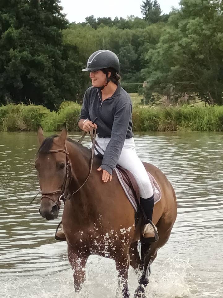 Pension pour chevaux - Domaine de la Poteli&egrave;re - Bottereaux (27)