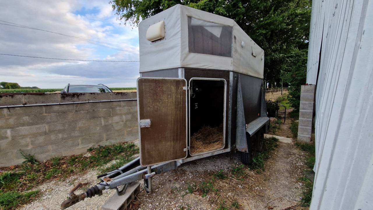 Van 2 chevaux Westfalia