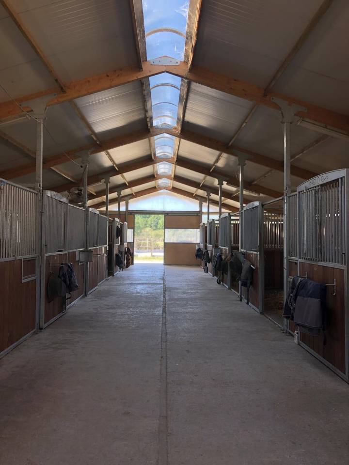 Pension écurie de propriétaire - Écuries de Pramadel 