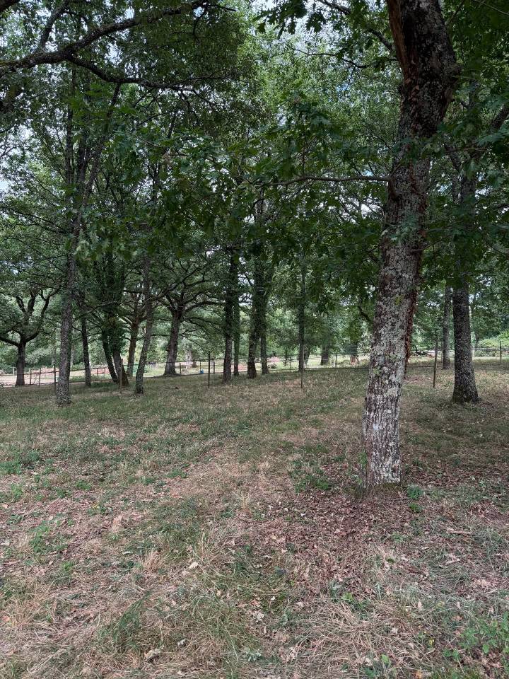 Pension écurie de propriétaire - Écuries de Pramadel 