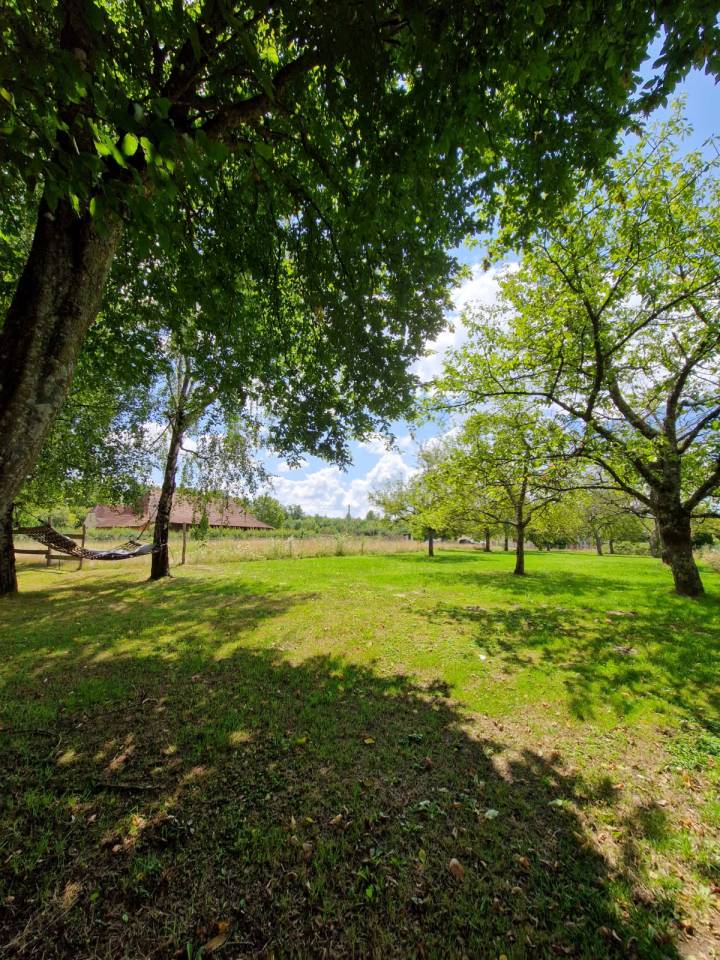 Bungalow 4 personnes + Prés à disposition pour chevaux