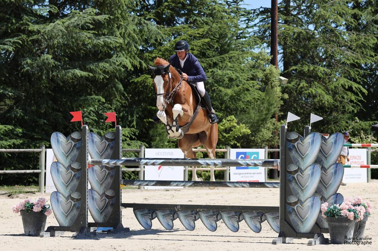 Pension valorisation / commerce - Écuries de Pramadel & Élevage SCF