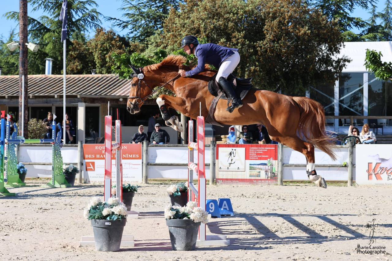 Pension valorisation / commerce - Écuries de Pramadel & Élevage SCF