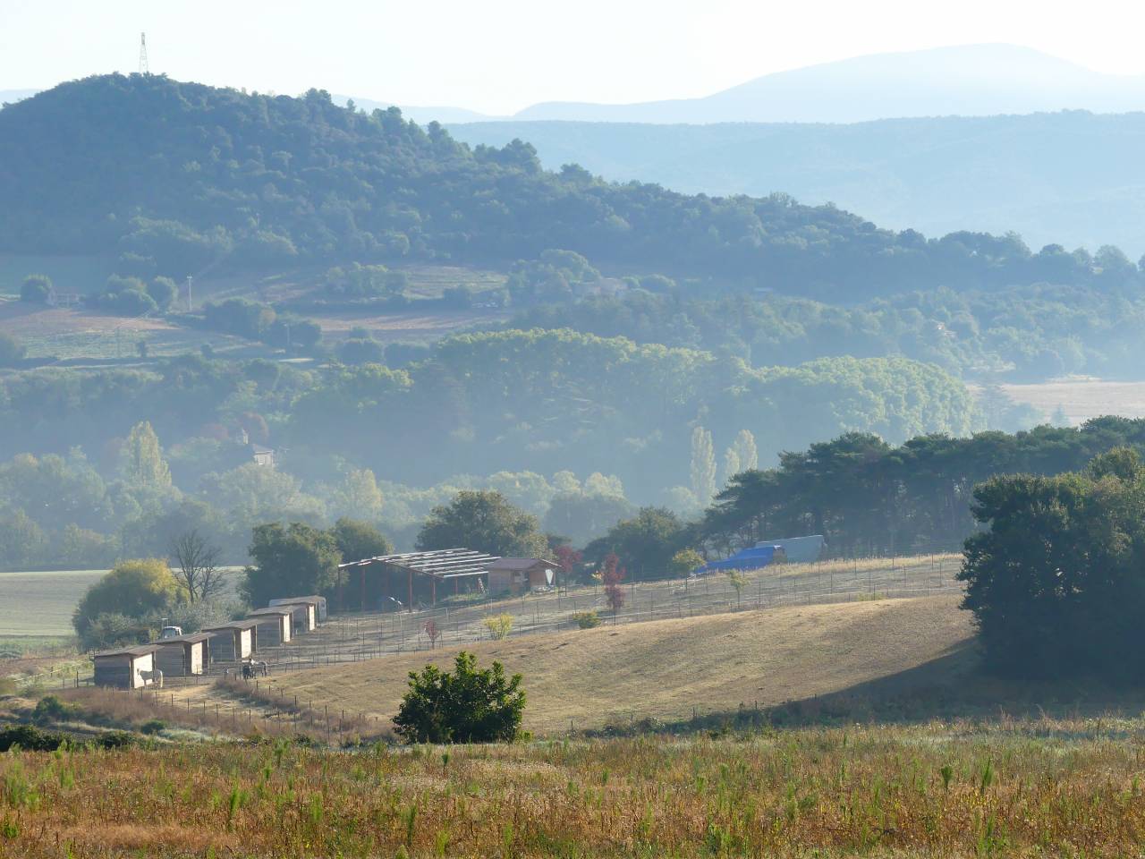 A LOUER STRUCTURE EQUESTRE 1.5 HECTARE 